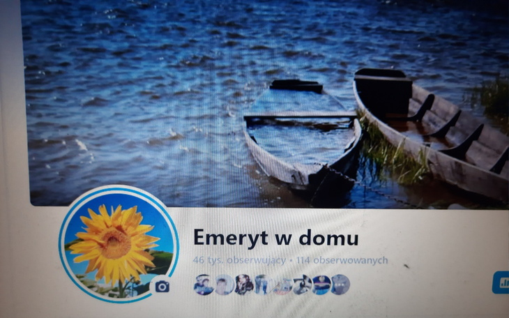 Widok na łodzie na wodzie, otoczone zielenią.