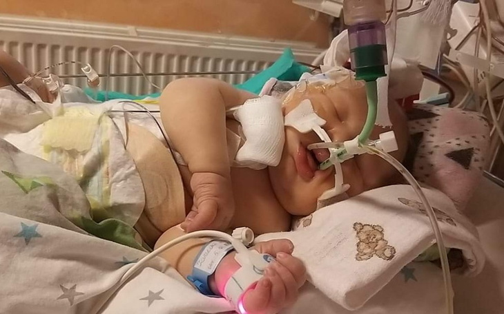 Zbiórka Leczenie Malutkiego Ignacego - zdjęcie główne