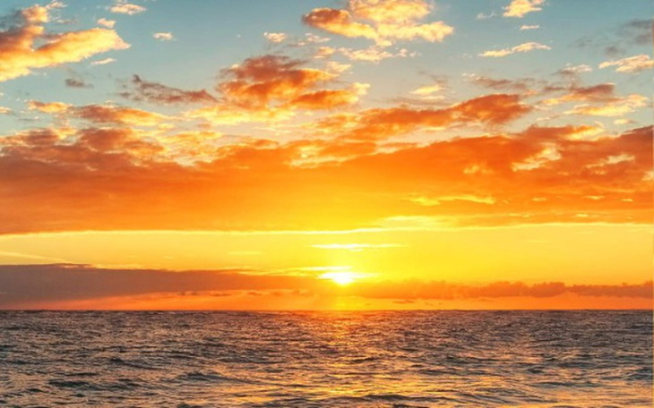 Zbiórka Zbiera Na zajęcie komornicze - zdjęcie główne