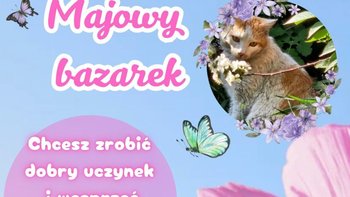 Zbiórka Majowy Bazarek 26 - miniaturka zdjęcia