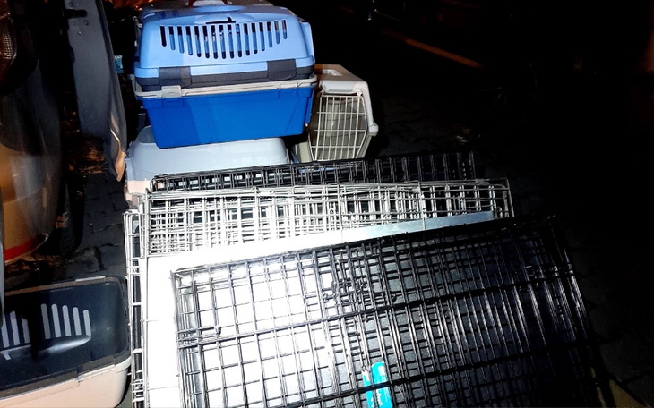 Zestaw klatek dla zwierząt w nocy.