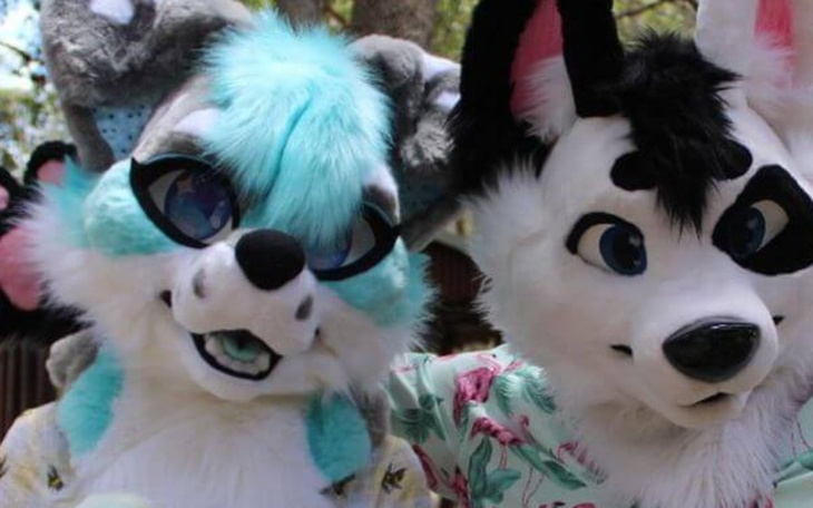 Zbiórka fursuit - zdjęcie główne