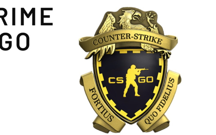 Zbiórka PRIME dla TheDisign 37zł - zdjęcie główne