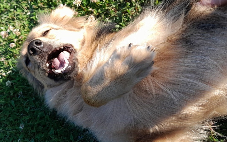Zbiórka Na leczenie Abi - zdjęcie główne