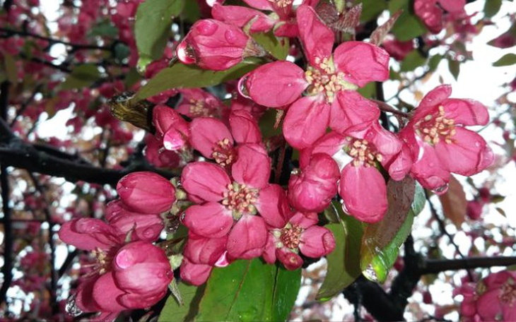 Zbiórka Zalane mieszkanie Pani Zosi - zdjęcie główne