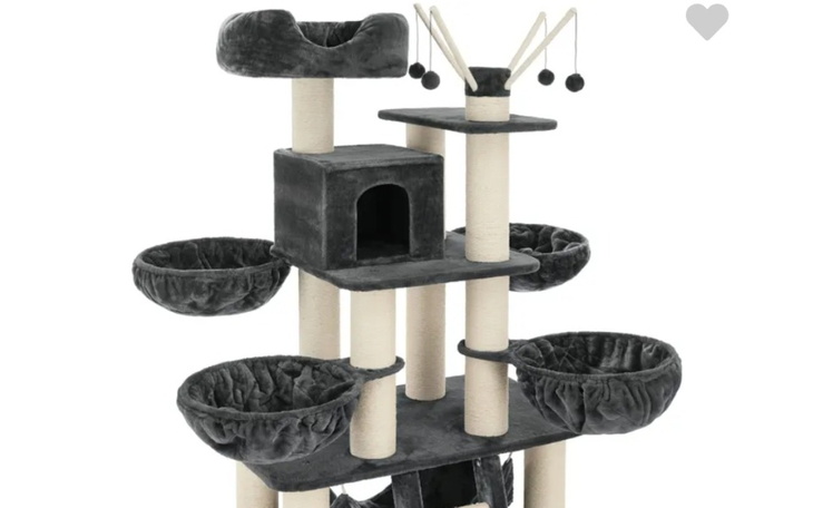 Zbiórka Zbieram na drapak dla kotów - zdjęcie główne