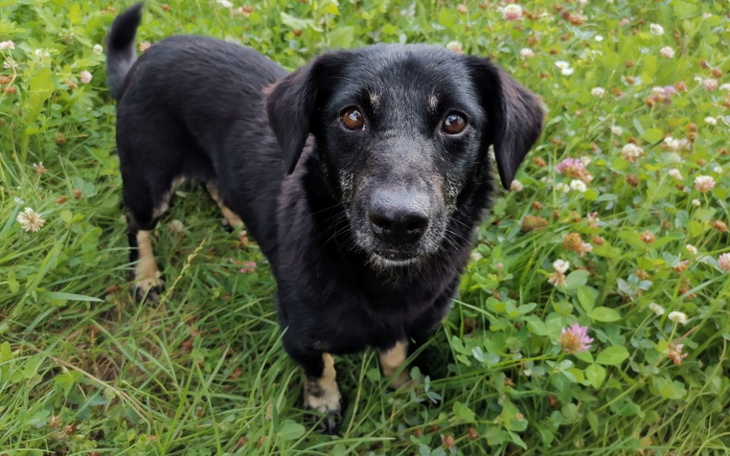 Zbiórka Na lepszy start Nera - zdjęcie główne