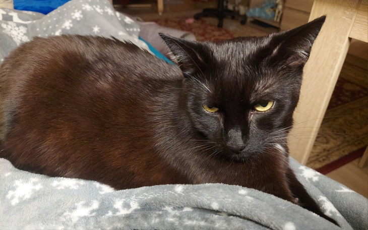 Zbiórka Kontrolne badUSG i konsultacja - zdjęcie główne