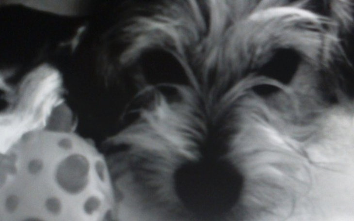 Zbiórka Spajki - zdjęcie główne