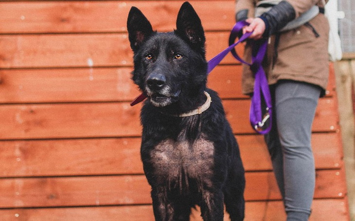 Zbiórka Chory, chudy, łysy- pomóż mi - zdjęcie główne
