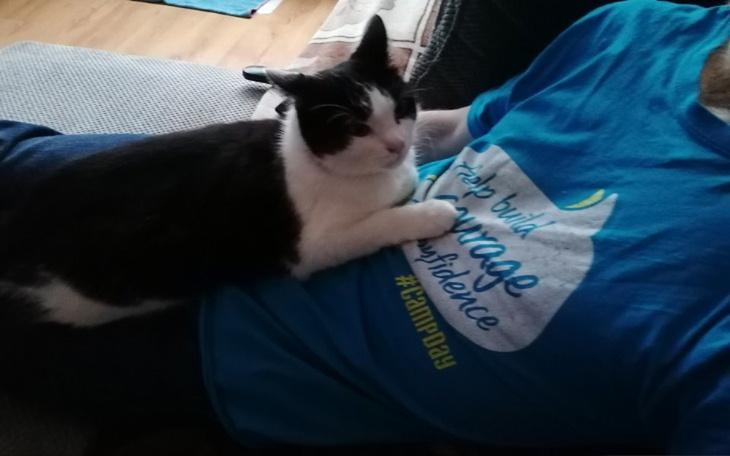 Zbiórka Zakup, karmy dla zwierząt. - zdjęcie główne