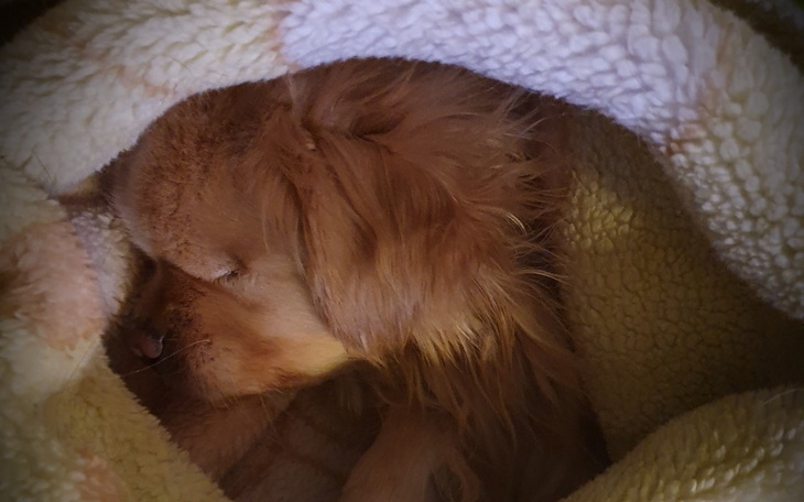 Zbiórka Liliana Heidbrink - zdjęcie główne