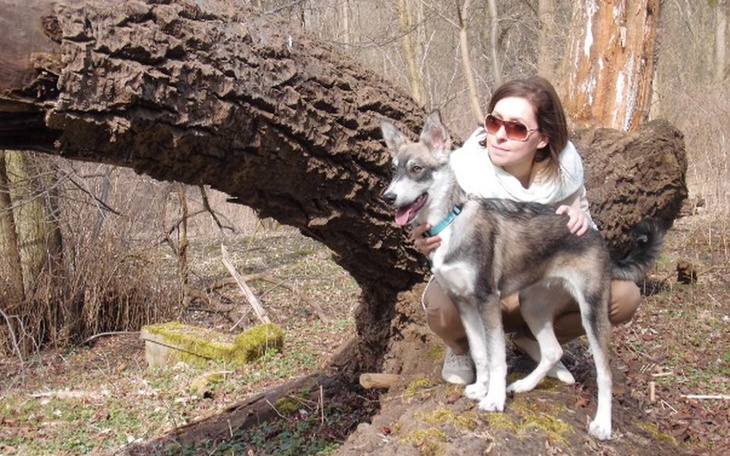 Zbiórka ,,Centrum dla zwierzat,, - zdjęcie główne