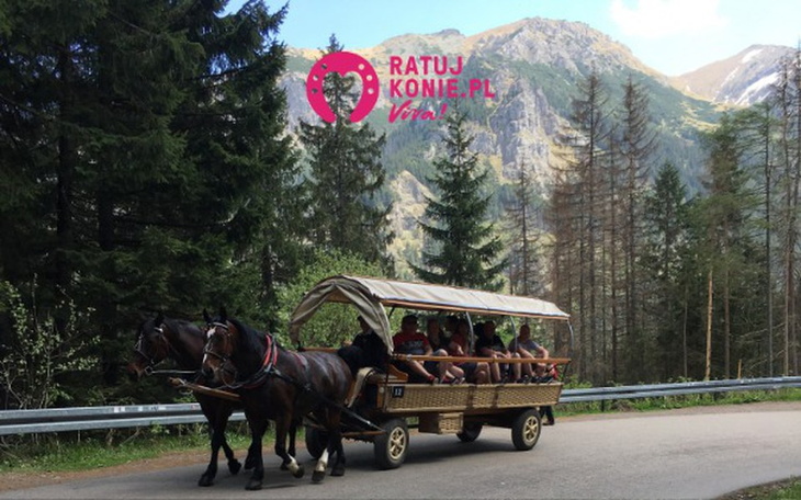 Zbiórka Ujawniamy prawdę o Morskim Oku - zdjęcie główne