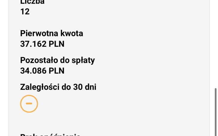 Informacje o spłacie: kwota, pozostało do spłaty, zaległości.