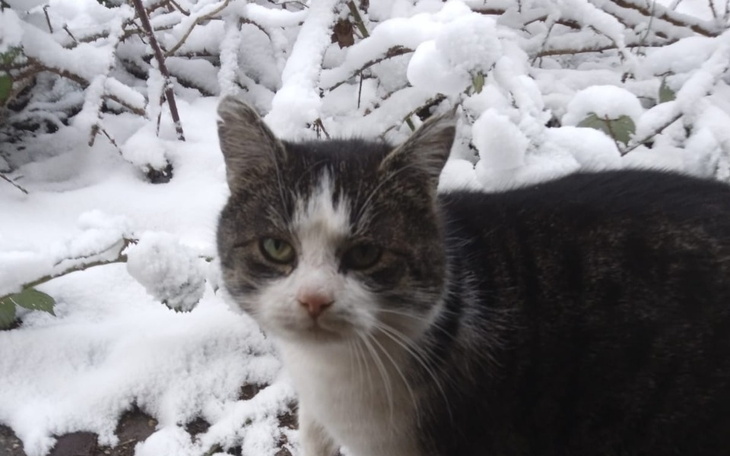 Zbiórka Pomóż przetrwać zimę. BK. - zdjęcie główne