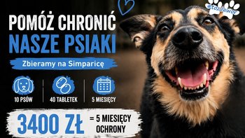 Zbiórka Ratujemy przed kleszczami! - miniaturka zdjęcia