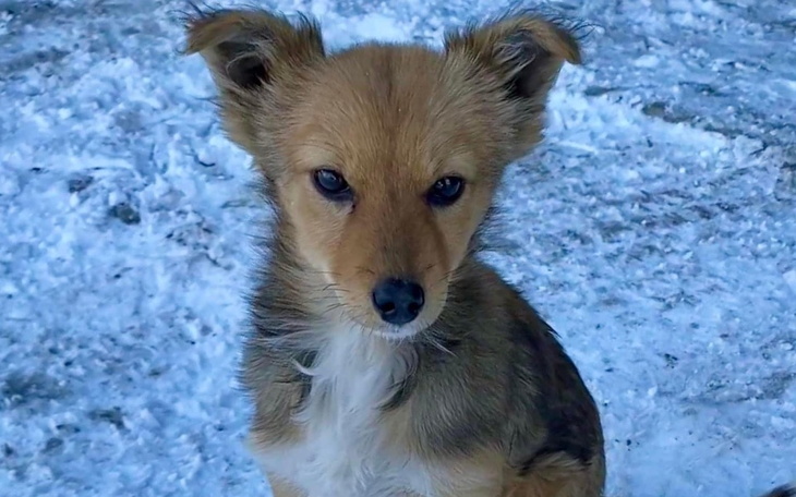 Zbiórka Transport do Bydgoszczy - zdjęcie główne