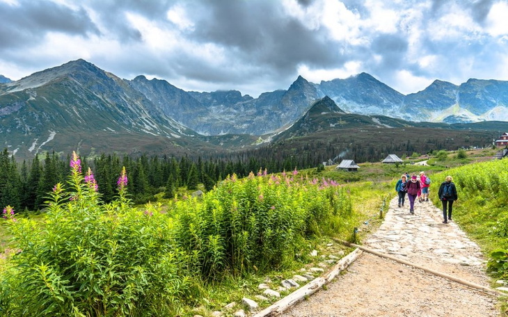 Zbiórka Wakacje - lipiec 2023 - zdjęcie główne