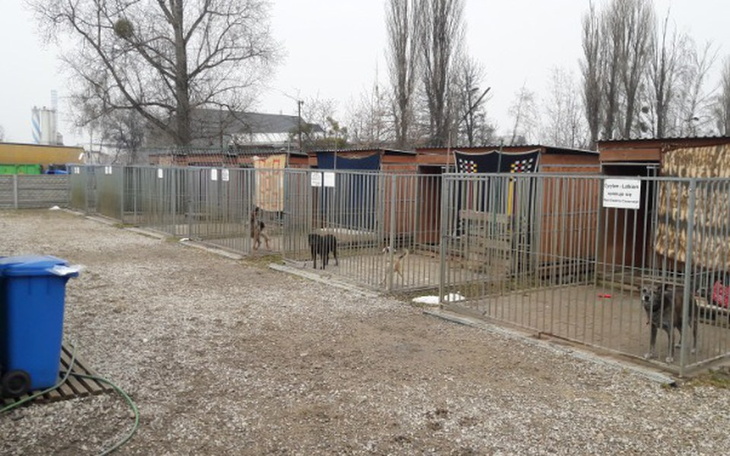 Zbiórka Doposażenie Punktu Adopcyjnego - zdjęcie główne