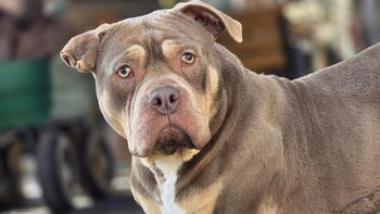 Zbiórka Kryzys - miniaturka zdjęcia