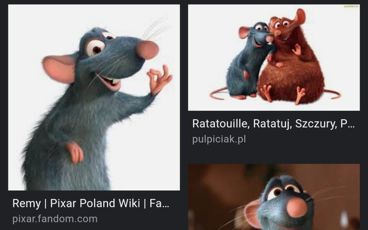 Zbiórka Dla diego - zdjęcie główne