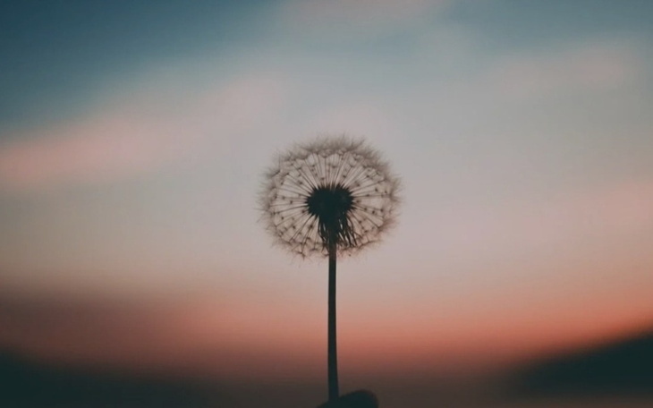 Dmuchawiec na tle zachodzącego słońca.