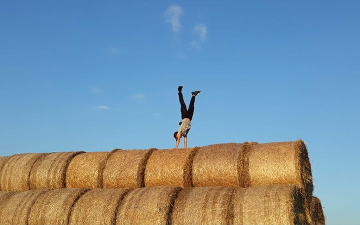 Zbiórka Marzenie (Piesek) - zdjęcie główne