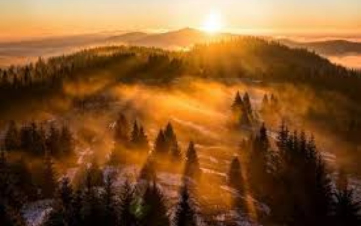 Zbiórka Na lepsze życieeeee - zdjęcie główne