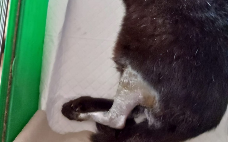 Zbiórka Kasia ze śrubami w łapce - zdjęcie główne