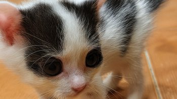 Zbiórka Maleńka Sokrateska w mroku - miniaturka zdjęcia