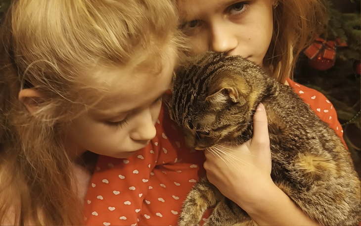 Zbiórka Uratuj naszą przyjaciółkę Karmel - zdjęcie główne