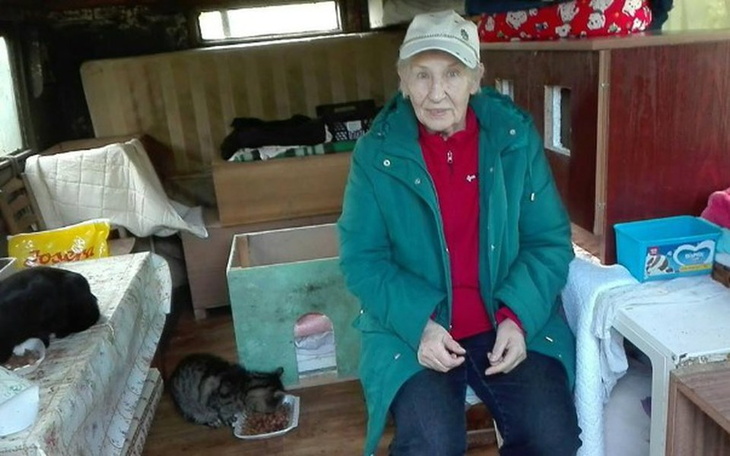 Zbiórka Bezdomniaki Pani Mieczysławy - zdjęcie główne