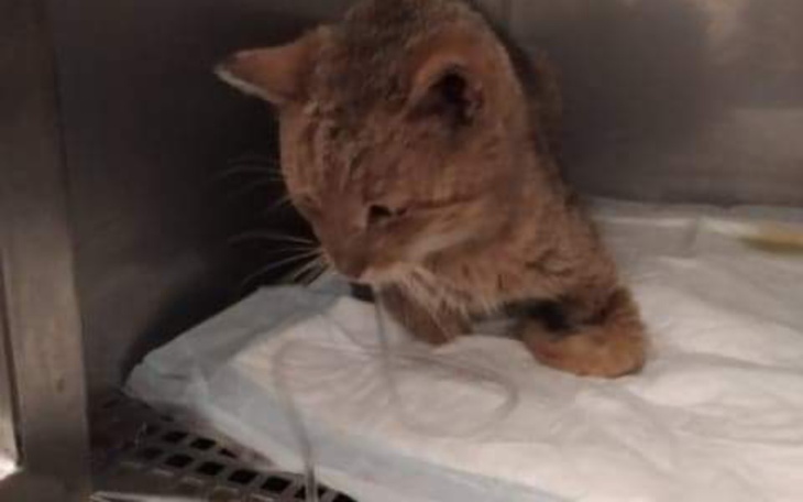 Zbiórka Okrutna starość - zdjęcie główne