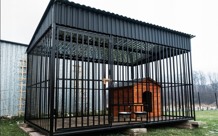 Zbiórka Dla dużych piesków, dwie budy i - zdjęcie główne