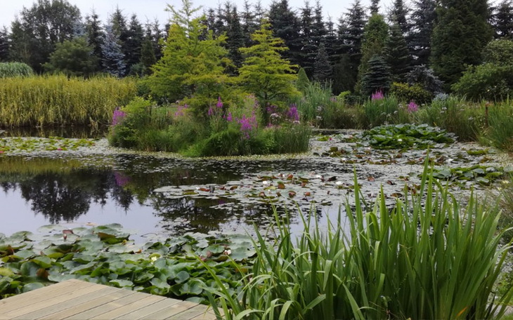 Zbiórka Likwidacja azbestu - zdjęcie główne