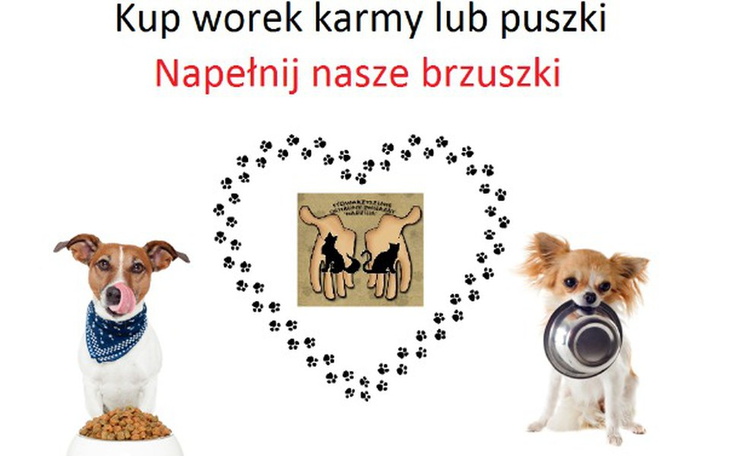 Zbiórka Pomoc dla Zwierzaków z Przemyśla - zdjęcie główne