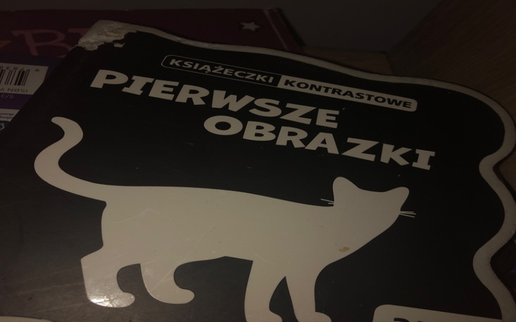 Zbiórka Pomoz Magdzie w małym celu - zdjęcie główne