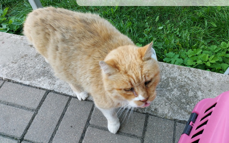 Zbiórka Dla seniorów. - zdjęcie główne