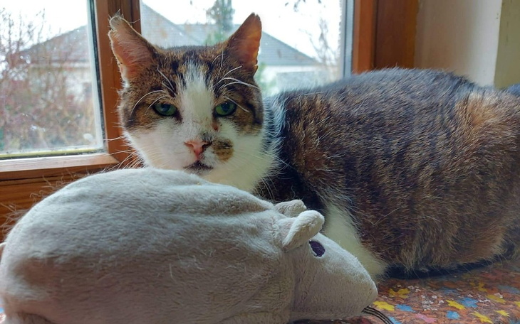 Zbiórka 100 lat dla cioci Ady - zdjęcie główne