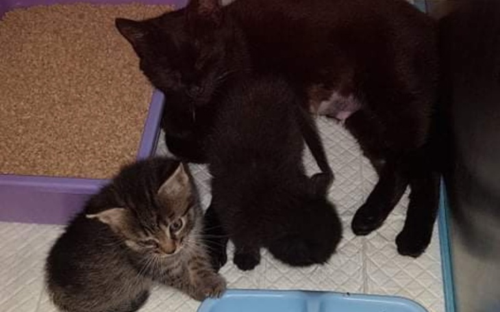 Zbiórka Sięgamy dna - zdjęcie główne