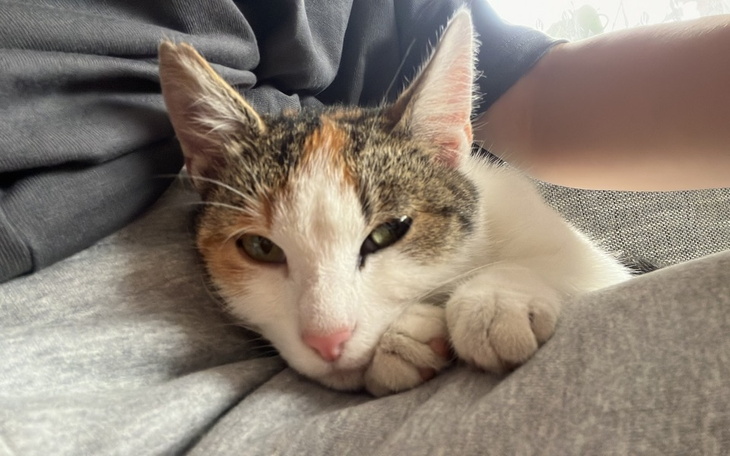 Zbiórka Na pomoc dla mnie . - zdjęcie główne