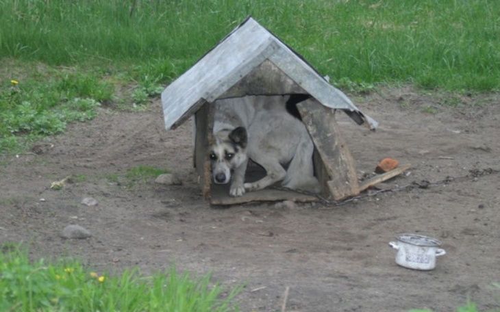 Zbiórka Potrzebne budy ocieplane - zdjęcie główne
