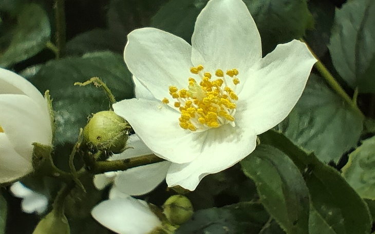 Zbiórka Spłacenie pożyczek - zdjęcie główne