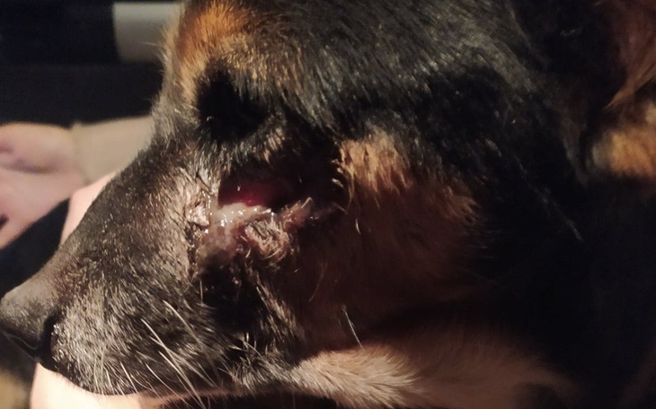 Zbiórka Prosimy,pomóżcie nam pomagać - zdjęcie główne