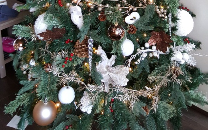 Zbiórka wegiel ubrania i jedzenie - zdjęcie główne