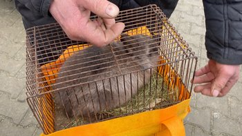 Zbiórka Skazana Na Cierpienie - miniaturka zdjęcia