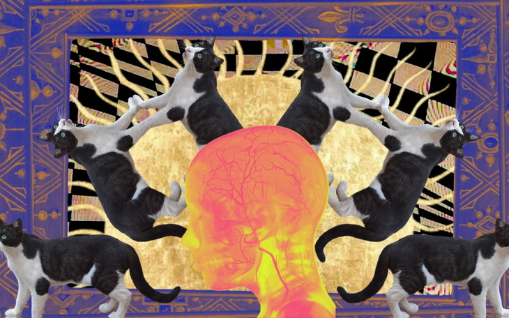 Zbiórka leczenie osoby aktywistycznej - zdjęcie główne