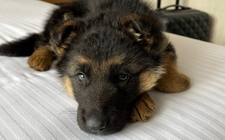 Zbiórka Zbiórka na operacje Lexy - zdjęcie główne