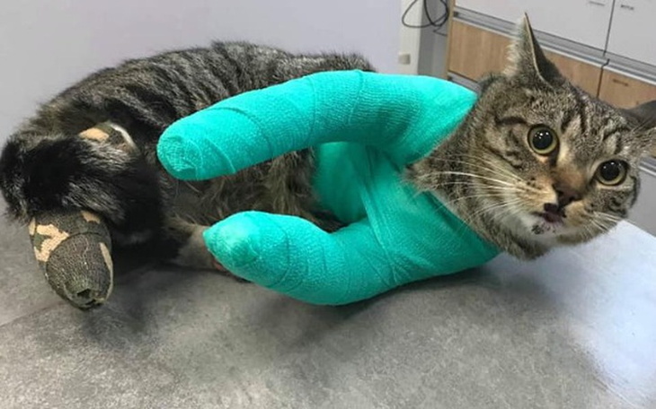 Zbiórka Zbyt drogie życie - pomóż!! - zdjęcie główne